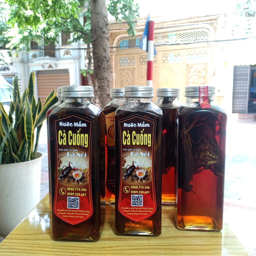 Nước mắm cà cuống hảo hạng nguyên con Hà Thành
