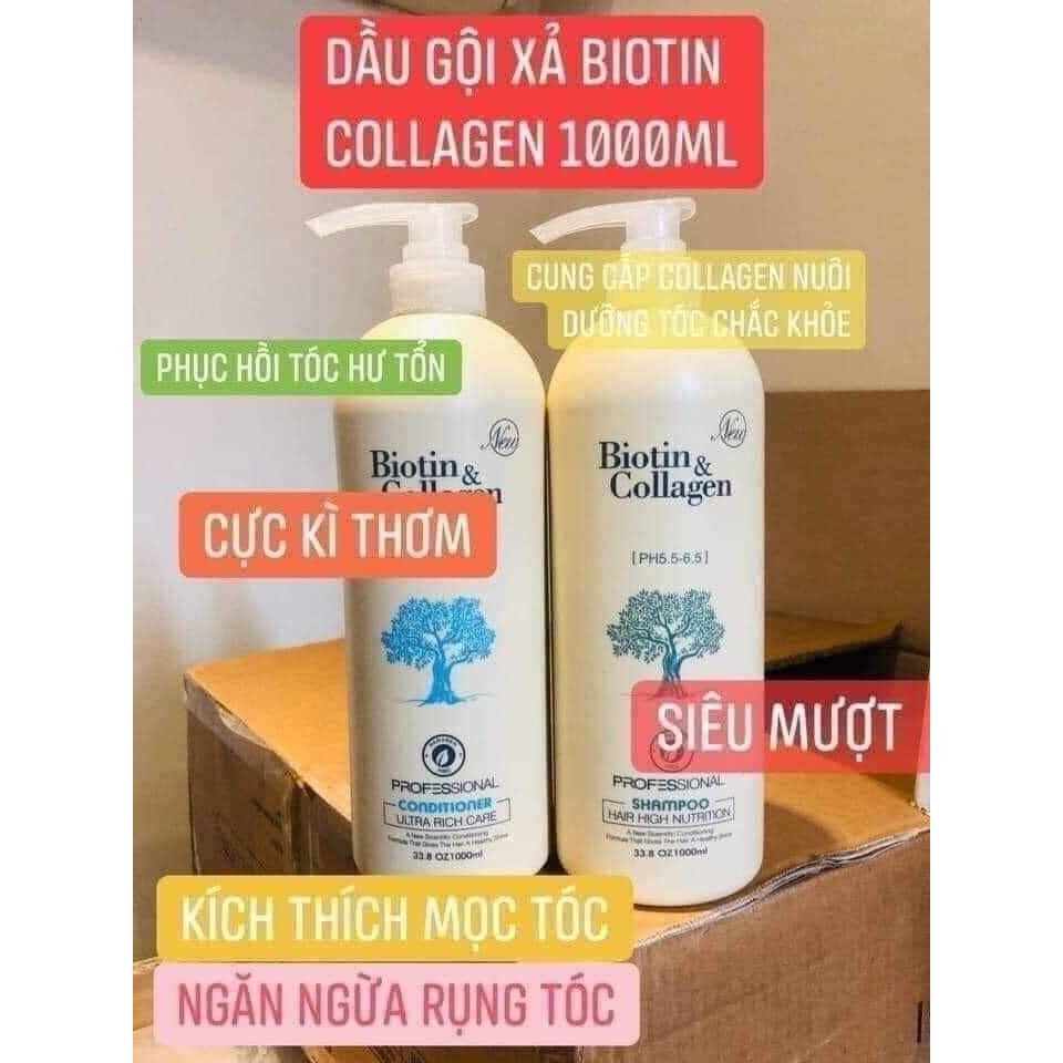 Cặp Dầu Gội Xả Biotin Collagen Trắng 1000ml | Giảm Rụng Tóc,Phục Hồi Tóc Khô Xơ, Hư Tổn ⚜️Hàng Chính Hãng⚜️ | BigBuy360 - bigbuy360.vn