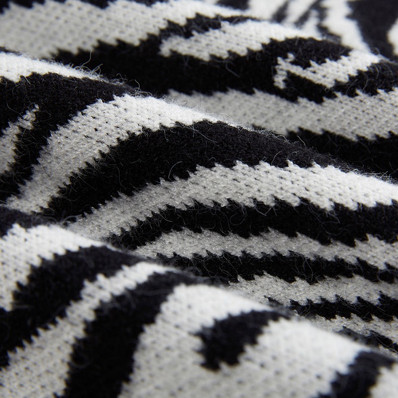 Áo Sweater Dệt Kim Không Tay Cổ Chữ V Họa Tiết Ngựa Vằn Cá Tính Cho Nữ | BigBuy360 - bigbuy360.vn