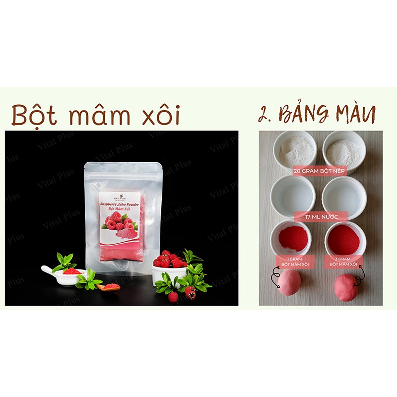 Bột trái cây - Bột Mâm Xôi - Raspberry Juice Powder - Vital Plus - Shop Nhà Anise