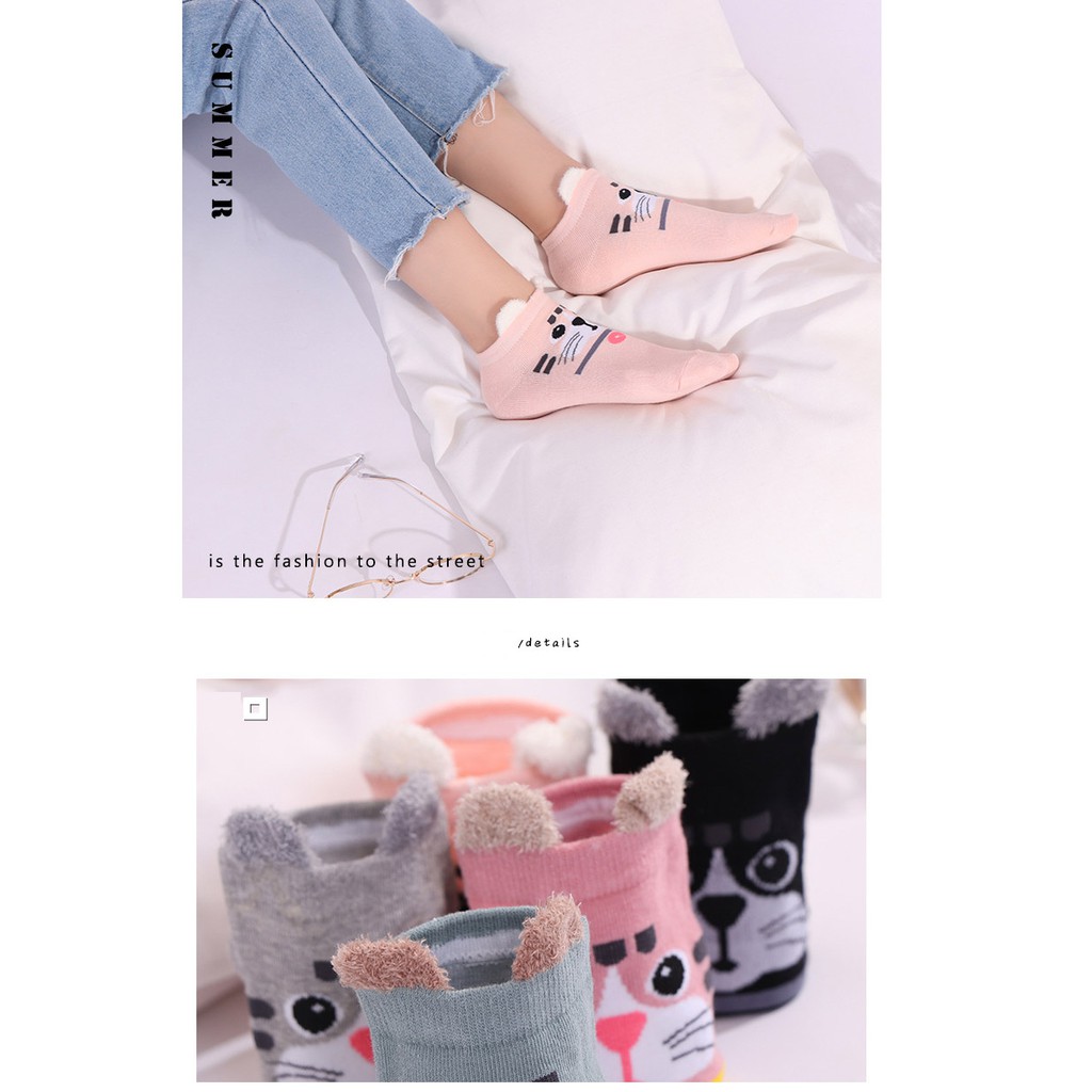 Combo 05 đôi tất / vớ nam/nữ cao cấp có hộp đựng (Loại 1)