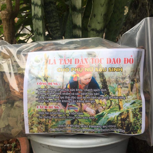 Lá Tắm Sau Sinh Dân Tộc Dao Đỏ