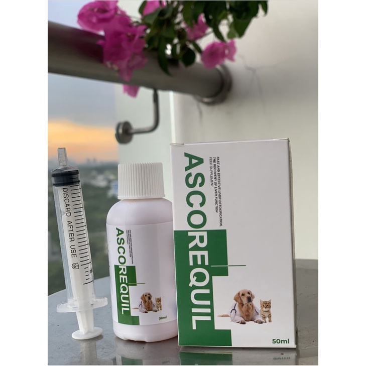 Ascorequil - Dung dịch uống hỗ trợ chức gan và thải độc gan cho chó mèo. Thuốc bổ cho chó, mèo chai 50ml.
