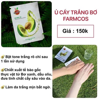 Ủ cấy trắng bơ