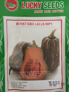 Hạt giống bí đỏ hạt đậu F1