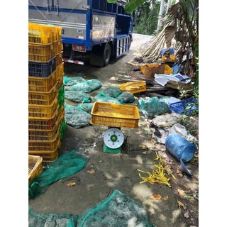 túi lưới đựng tôm cua cá , rắn , lươn - lưới sịn