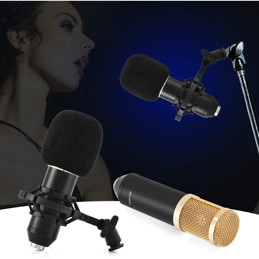 [Mã ELHACE giảm 4% đơn 300K] Micro karaoke thu âm chuyên nghiệp BM900