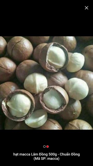 10kg  hạt macca LÂM ĐỒNG  cao cấp