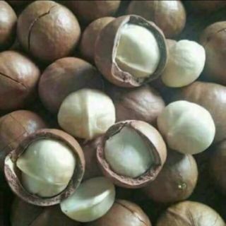 10kg  hạt macca LÂM ĐỒNG  cao cấp