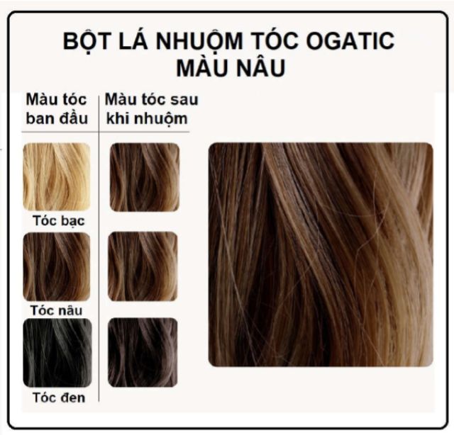 BỘT LÁ NHUỘM TÓC OGATIC: NHUỘM TÓC AN TOÀN TỪ BỘT LÁ MÓNG, LÁ CHÀM