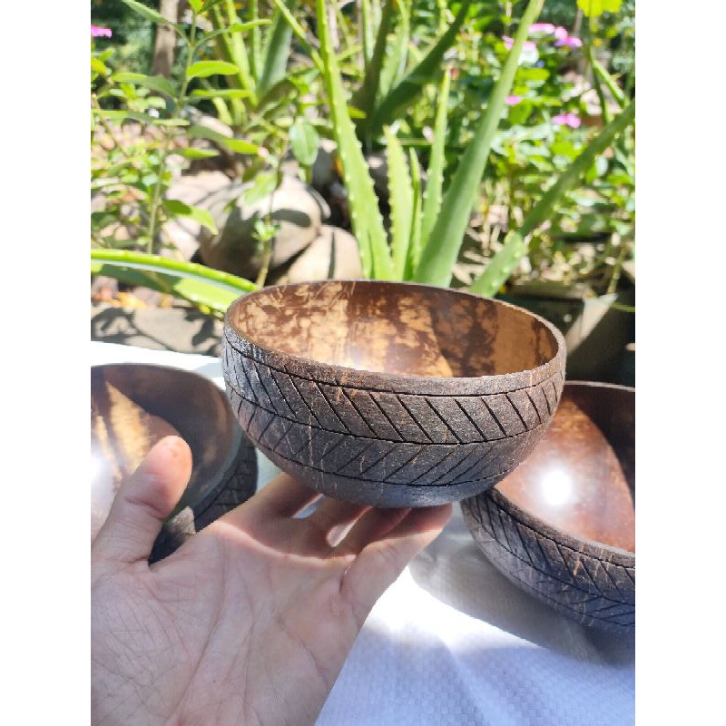 Bát gáo dừa