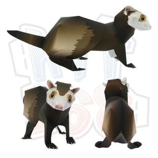 Mô hình giấy động vật Chồn sương