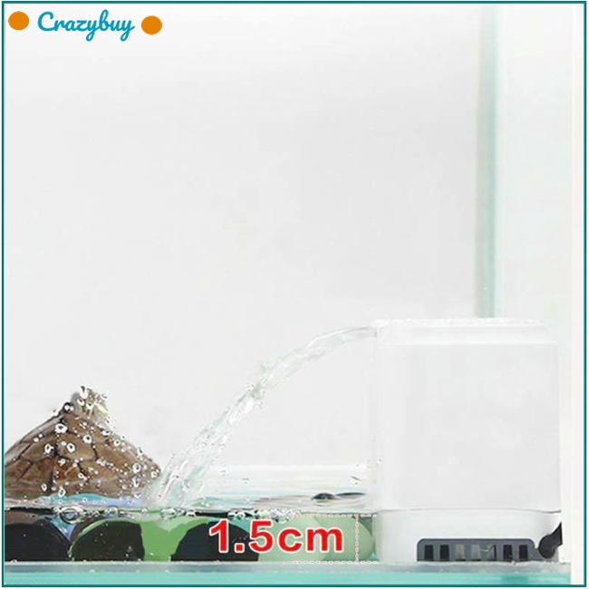 Bộ Lọc Nước 3 Trong 1 Cho Rùa