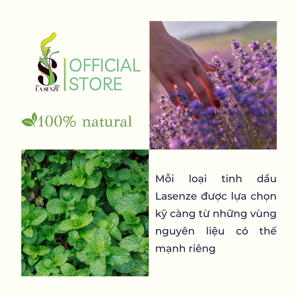 Tinh dầu Hoa Oải Hương (Lavender) Giúp Ngủ Ngon - 100% Natural (Hàng Thật Không Pha)