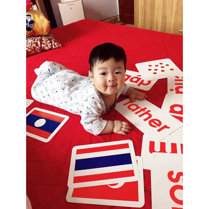 Flashcard GDkids Dạy Bé Học Đọc Theo Phương Pháp Glenn Doman ( 100 Thẻ )