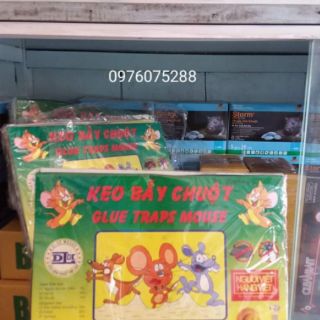 Keo dính chuột 5 miếng