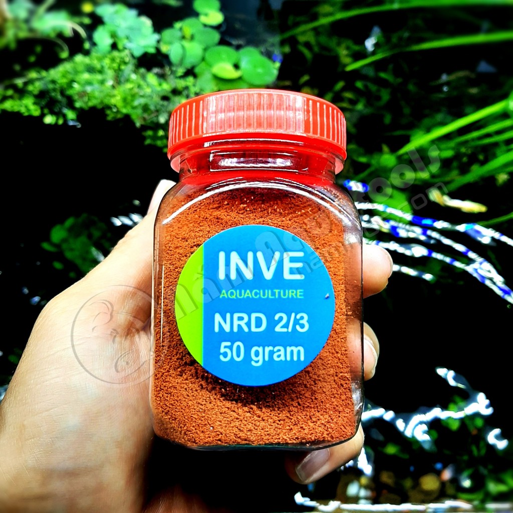 Cám Thái INVE nhiều size [hộp 50gr] - Thức ăn Dành cho cá bảy màu, neon, beta...