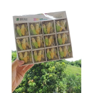 Bộ  tẩy  con vật