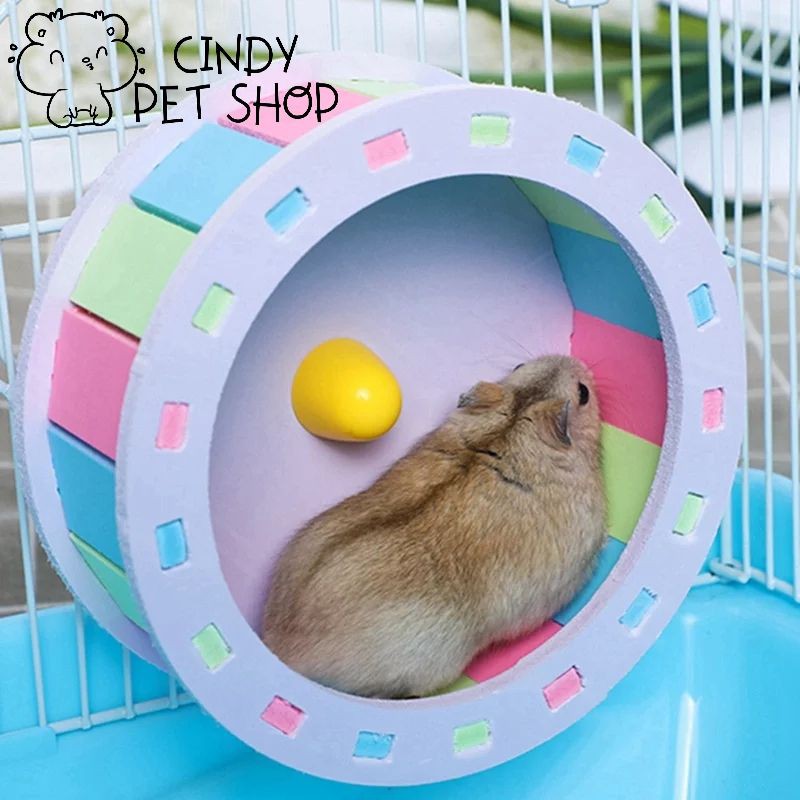 Wheel/Vòng quay chạy gỗ nhựa cho Hamster full size