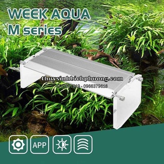 Đèn led week rapter m series pro wrgb uv app - ánh sáng chuyên dụng trồng cây thủy sinh