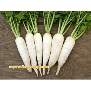 Hạt Giống Củ Cải Trắng (Ngọt) - 20Gr