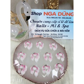 hoa góc ngắn mong