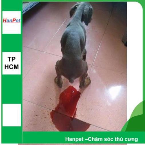 (1 Kit test) Que test bệnh chó dụng cụ xét nghiệm bệnh thú cưng Parvo CPV Care CDV FPV cho mèo