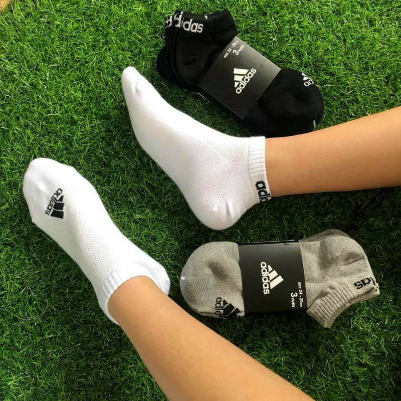 tất adidas pack cổ thấp cotong nam nữ