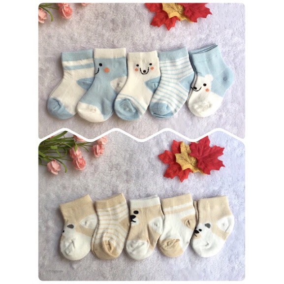 Set 5 đôi vớ cotton cho bé yêu 6 tháng - 2 tuổi/ Tất cotton em bé