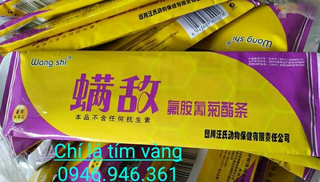 Thuốc Chí Lá Tím