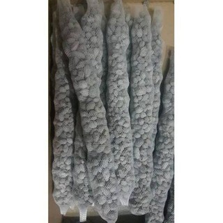 10 thanh phân dê 50cm đã xử lý không mùi làm phân bón lan siêu tốt
