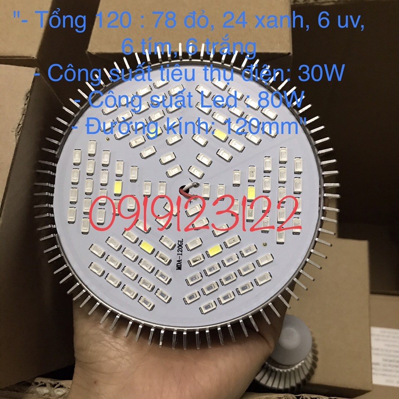 Đèn LED trồng cây, trồng rau trong nhà 80w , E27