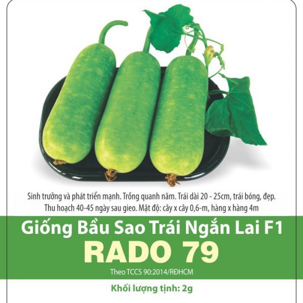 HẠT GIỐNG ĂN QUẢ -Bầu Sao Trái Ngắn RADO 79- GÓI 2 GRAM.