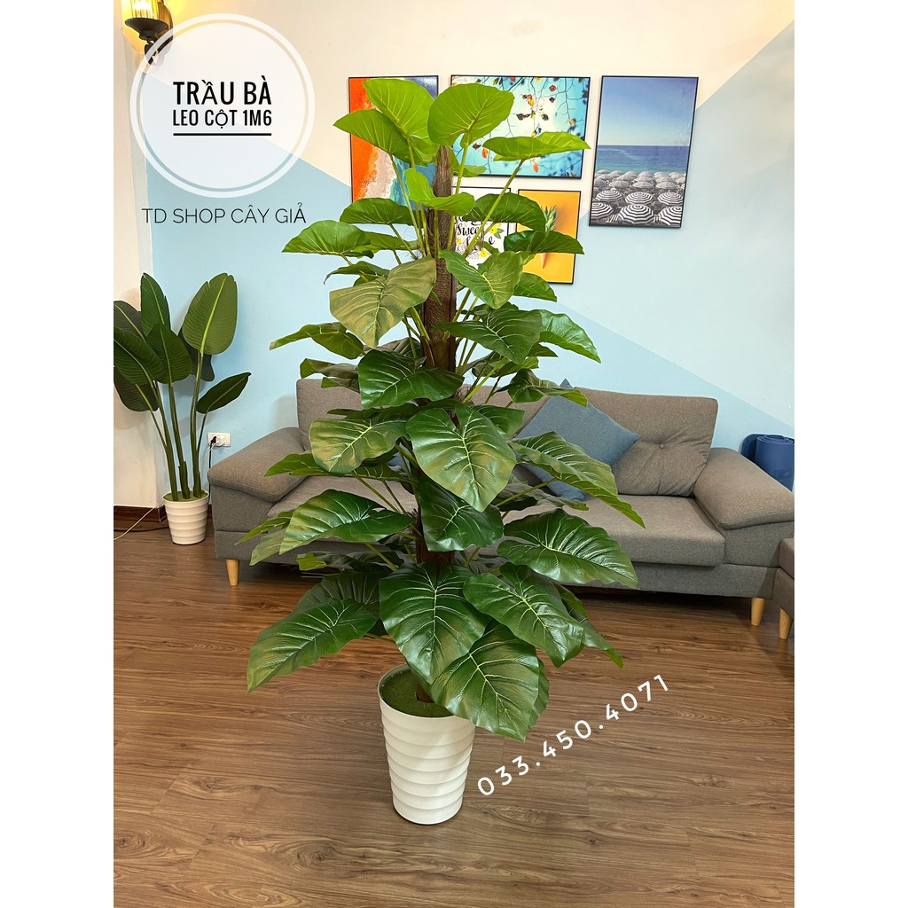 Cây trầu bà leo cột cao 1M6 - 63 lá, Cây giả decor