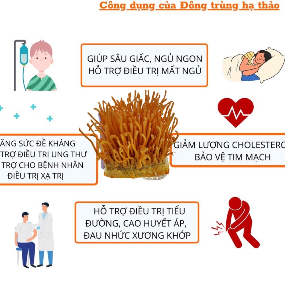 Đông trùng hạ thảo C3 tươi [ 5 hộp 180gr]