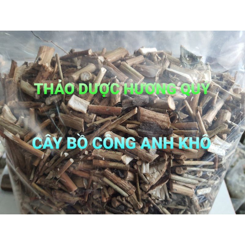 1KG CÂY BỒ CÔNG ANH KHÔ LOẠI 1