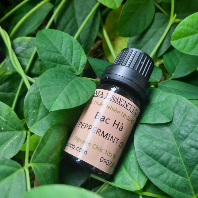 Tinh dầu hương thơm