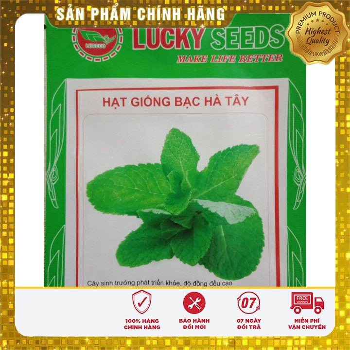 Hạt giống cây Bạc Hà Tây 1gr