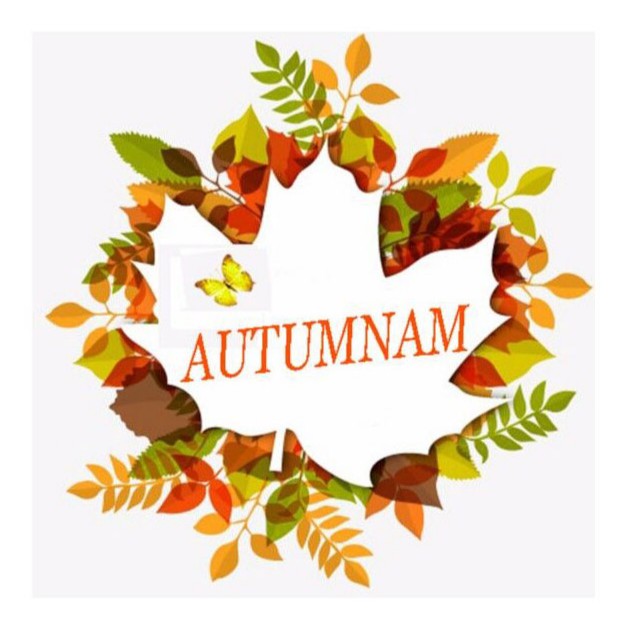 Autumnam Home & Living