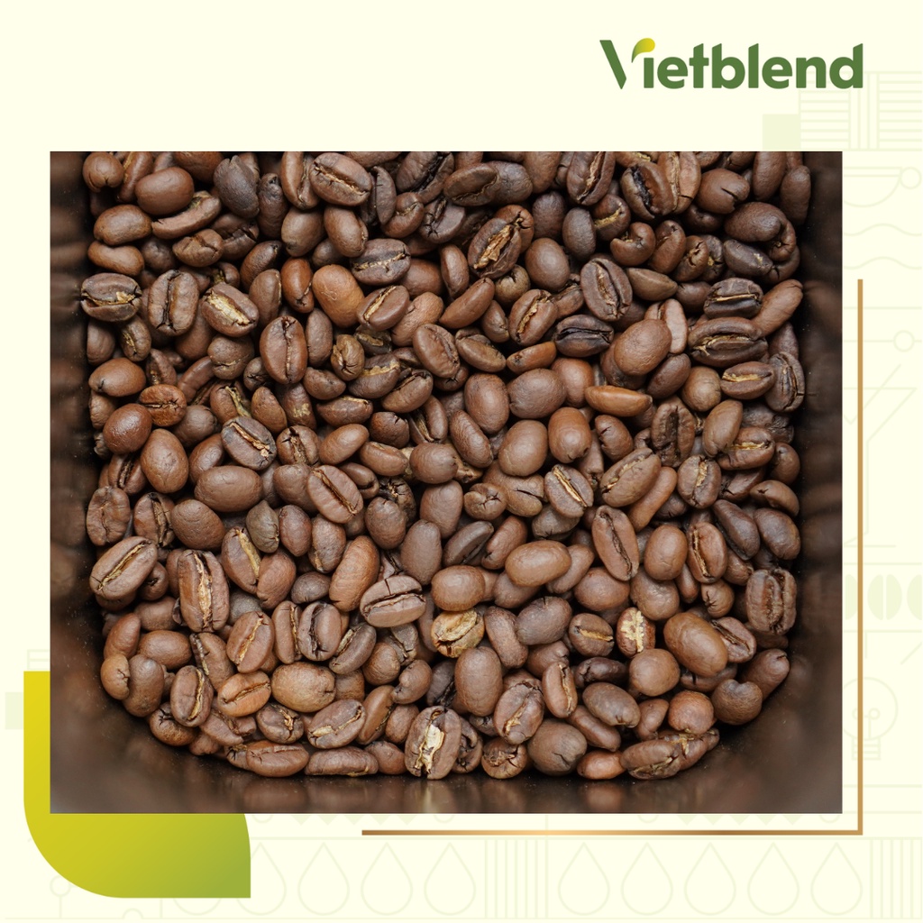 Cà phê hạt nguyên chất Arabica Việt | Cà phê rang xay thượng hạng | BigBuy360 - bigbuy360.vn
