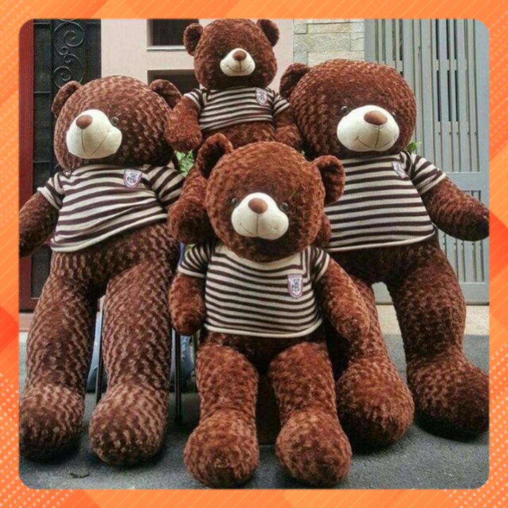 Gấu teddy dài thực tế 1m7 Cao cấp (GIÁ XƯỞNG)