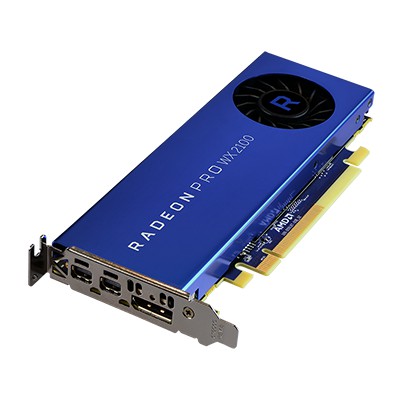 Card đồ hoạ Radeon Pro WX 2100 | BigBuy360 - bigbuy360.vn