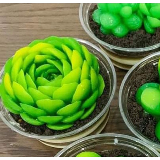 Khuôn Silicone Sen Đá Xương Rồng Ngọc 8Cm