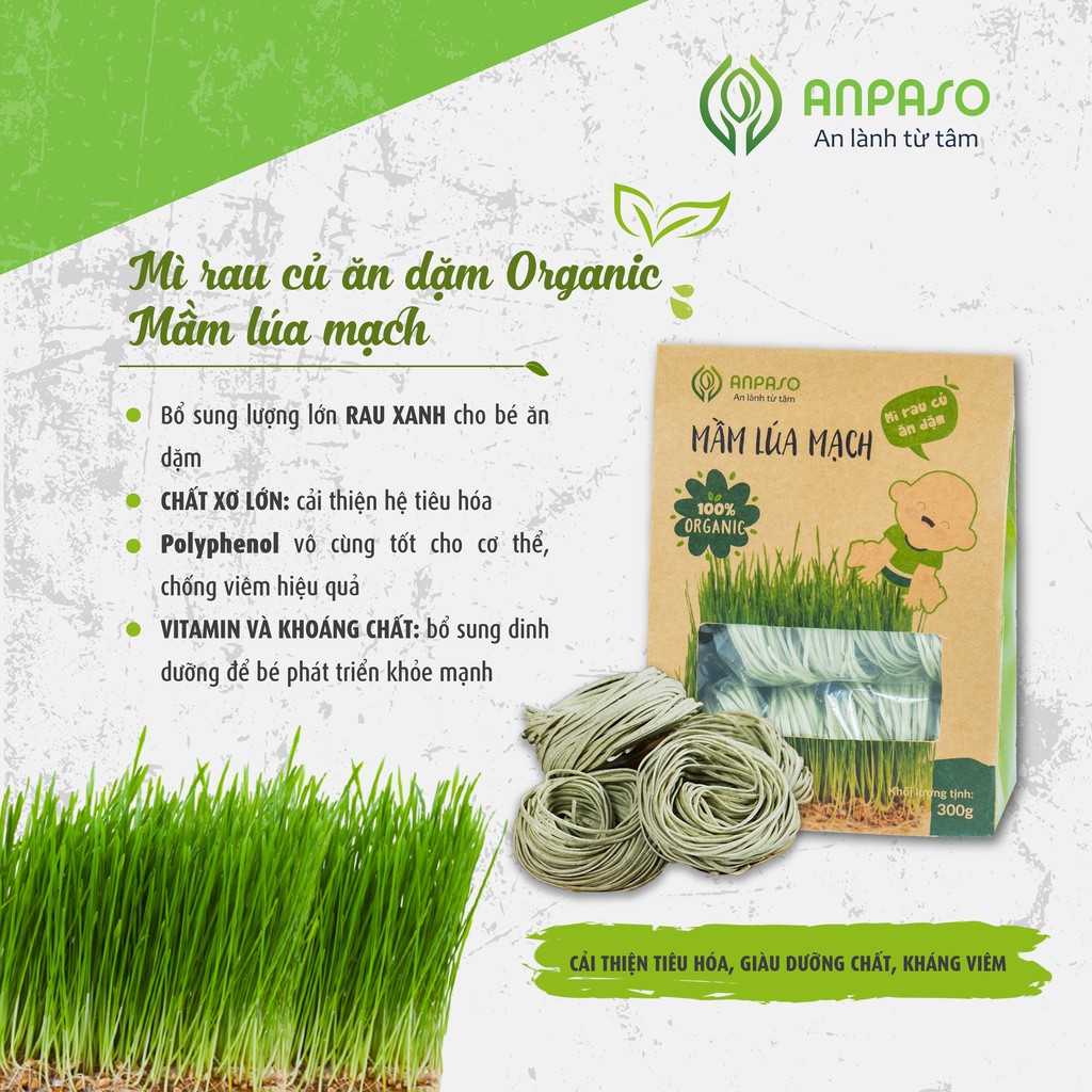 Mì rau củ hữu cơ Anpaso, mỳ rau organic eat clean giảm cân, ăn chay, thực dưỡng, bổ sung vitamin, chất xơ 5 vị rau 300g | BigBuy360 - bigbuy360.vn