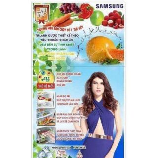 Tem dán trang trí tủ lạnh hãng SAMSUNG hình cô gái