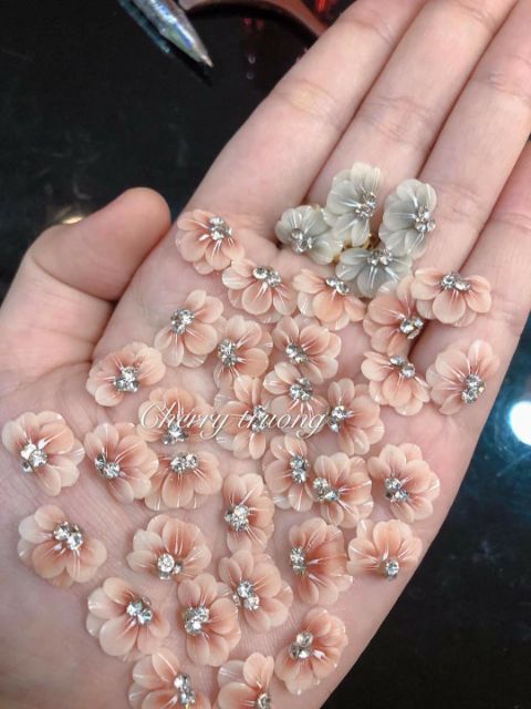 Hoa bột _ hoa cúc ôm móng