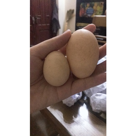 Trứng gà ta ăn ngô, 1 số quả 2 lòng đỏ siêu to