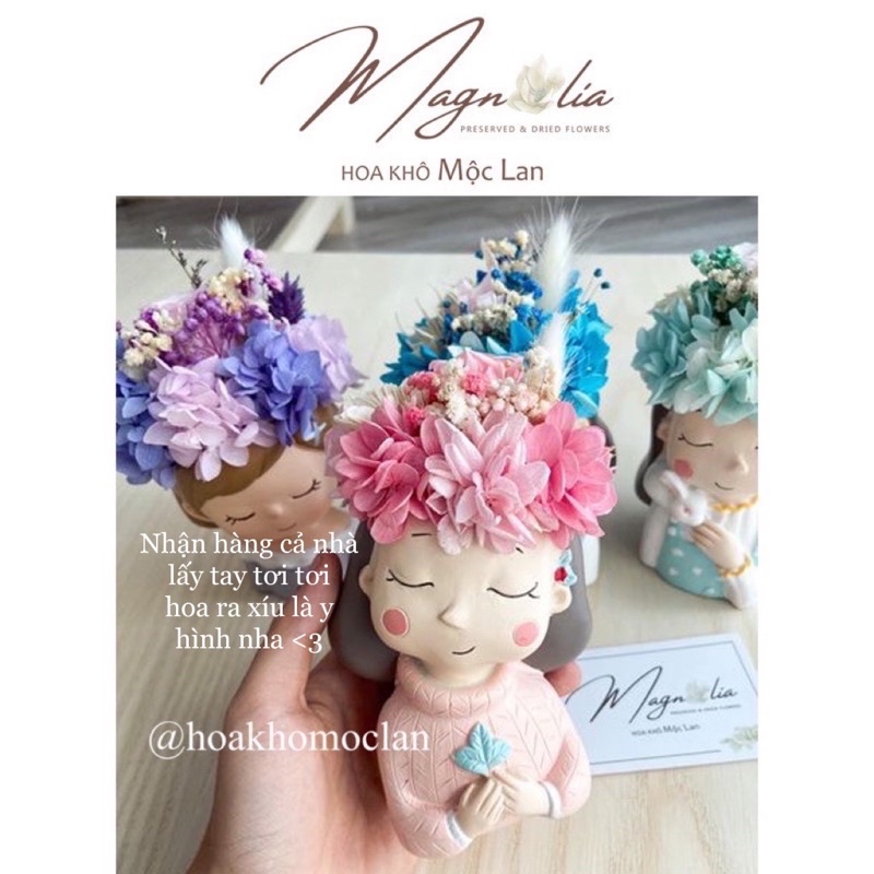 Búp Bê Hoa Khô Quà Tặng ❤️FREESHIP❤️ Lọ hoa khô handmade trang trí để bàn, decor quán cafe