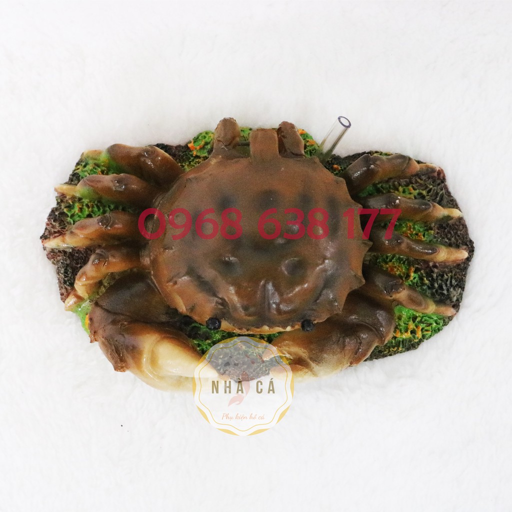Sủi oxy hình dáng Cua biển