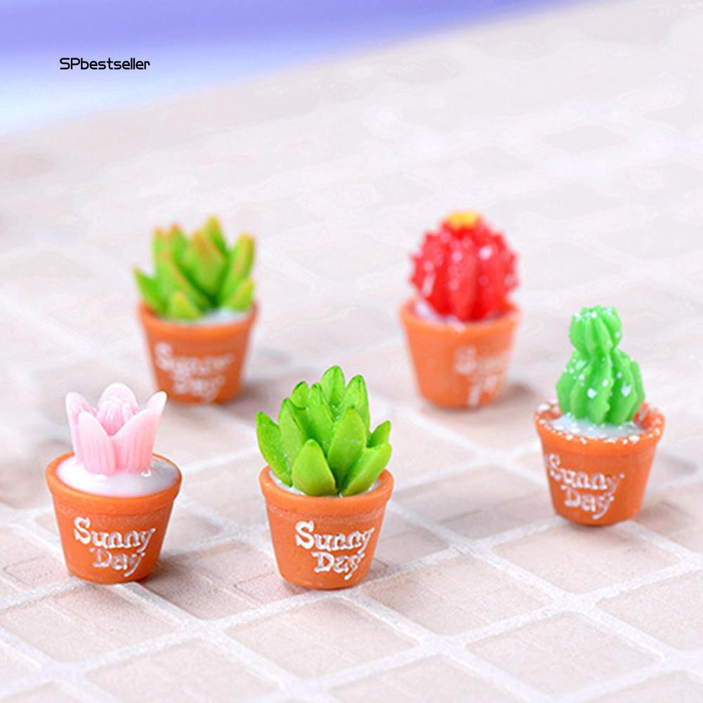 Set 2 mô hình cây xương rồng mini bằng nhựa dùng để trang trí tiểu cảnh